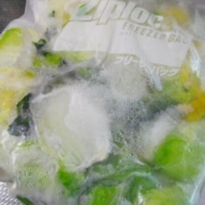 白菜を野菜室に入れるスペースが無かったので、冷凍してみました。1/4個が写真の袋に収まりました。
(*´∀`)b
